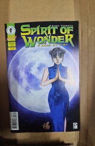 Spirit of Wonder #3 (1996)