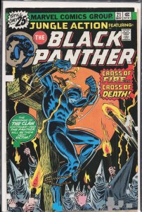 Jungle Action #21 (1976) Black Panther