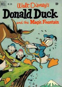 Walt Disney's Donald Duck and The Magic Fountain