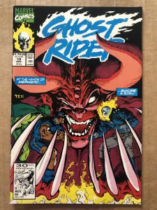 Ghost Rider #19 Direct Edition (1991)