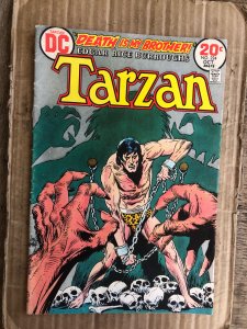 Edgar Rice Burroughs' Tarzan #224 (1973)