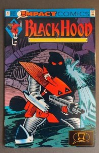 The Black Hood #1 (1991)