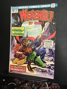 Werewolf by Night #19  (1974) affordable grade Dracula appearance key! VG+ Wow