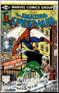 The Amazing Spider-Man #212 (1981) Spider-Man [Key Issue]