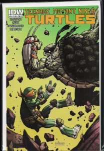 Teenage Mutant Ninja Turtles #35 (2014)