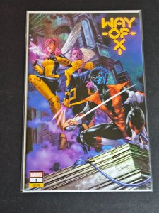 Way of X #1 Anacleto Cover A (2021)