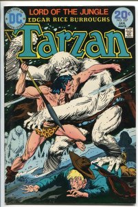 Tarzan--#227--1974--COMIC BOOK--DC--VF