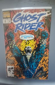 Ghost Rider #23 (1992)