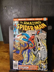 The Amazing Spider-Man #165 (1977) Spider-Man