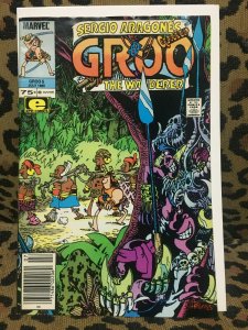 GROO the WANDERER  - Sergio Aragones ALL NEWSSTAND - LOT #1 - #5-54 - 22 Books F