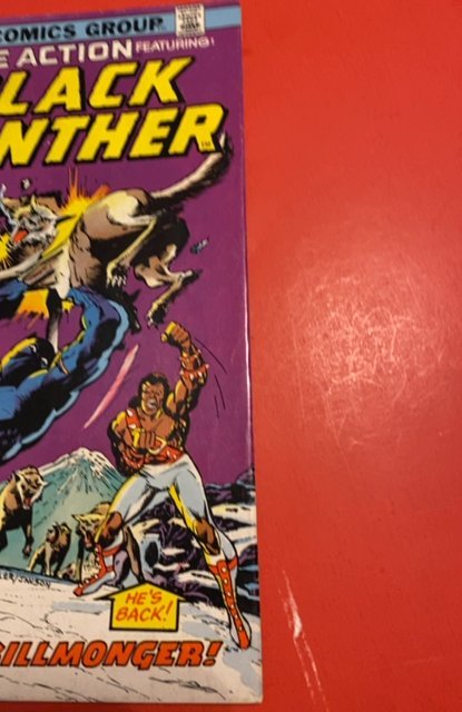 Jungle Action #12 (1974)black panther vs killmonget