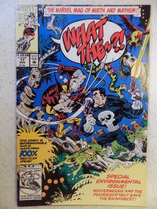 What The--?! #17 (1992)