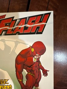 The Flash #247 (2009)