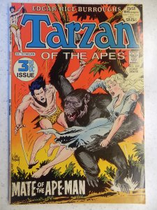 TARZAN # 209 DC 3RD ISSUE JUNGLE ACTION ADVENTURE KUBERT BURROUGHS