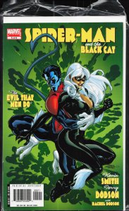 Spider-Man/Black Cat: The Evil that Men Do #5 (2006) Spider-Man