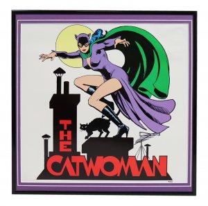 VINTAGE 1988 DC Catwoman Framed 12x12 Poster Display 