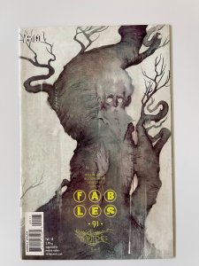 Fables #91 - NM  (2010)