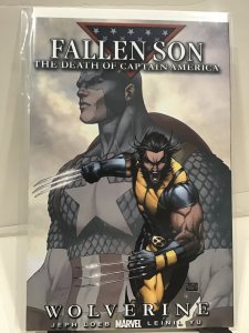 Fallen Son: The Death of Captain America Turner Cover (2007)