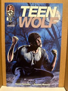 Teen Wolf: Bite Me #2 ~FN HTF LOW PRINT (2011) Top Cow Comics