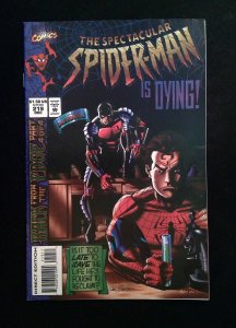 Spectacular Spider-Man #219  MARVEL Comics 1994 VF+