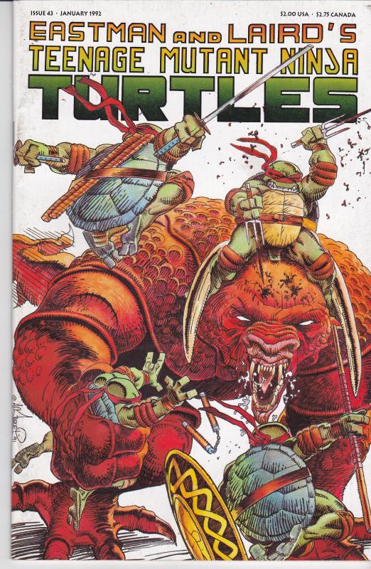 Teenage Mutant Ninja Turtles #43