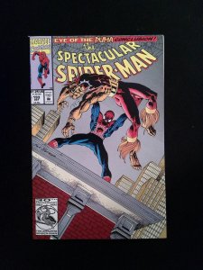 Spectacular Spider-Man #193  MARVEL Comics 1992 VF+
