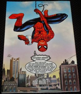 Punisher vs. Daredevil #1 (2000)