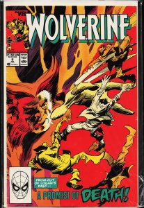 Wolverine #9 (1989) Wolverine