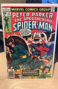 The Spectacular Spider-Man #13 (1977) 8.0 VF