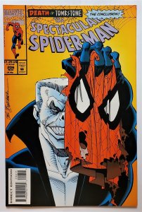 The Spectacular Spider-Man #206 (Nov 1993, Marvel) VF/NM