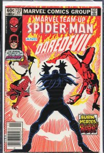 Marvel Team-Up #123 (1982) Spider-Man