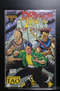 Dragon Lines: The Way of the Warrior #1 (1993)