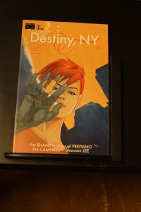 Destiny, NY #3 (2021)
