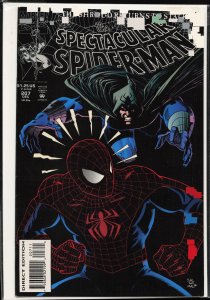 The Spectacular Spider-Man #207 (1993) Spider-Man