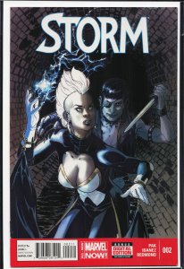 Storm #2 (2014) Storm