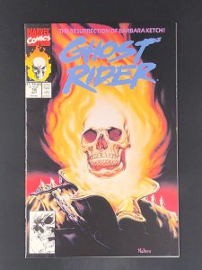 Ghost Rider #18 (1991) Classic Nelson Cover!