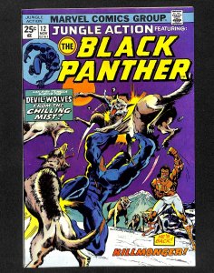 Jungle Action #12 FN/VF 7.0 Black Panther!