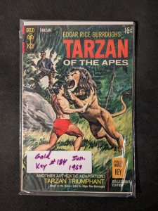 Edgar Rice Burroughs' Tarzan #184 (1969)