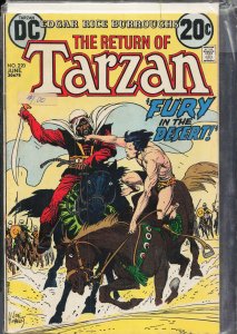 Edgar Rice Burroughs' Tarzan #220 (1973)