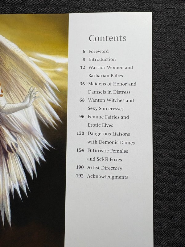 2008 EROTIC FANTASY ART by Fell & Duddlebug HC/DJ VF-/FN 2nd Collins Design