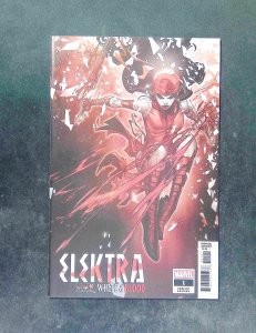 Elektra Black White and Blood #1D  Marvel Comics 2022 NM-  Myers Variant