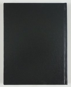 War on Crime: 1936-1938 HC by Rex Collier & Frank Godwin - collects strips 