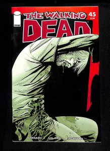 Walking Dead #45
