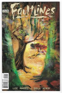 Faultlines #6 (1997)