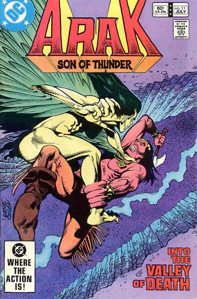 Arak Son of Thunder #11 FN ; DC | Roy Thomas Valley of Death