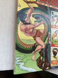 Tarzan #232 DC