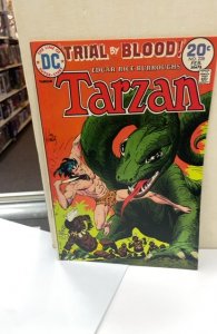 Edgar Rice Burroughs' Tarzan #228 (1974)