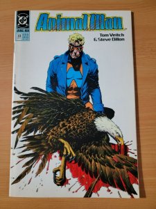Animal Man #33 ~ NEAR MINT NM ~ 1991 DC Comics
