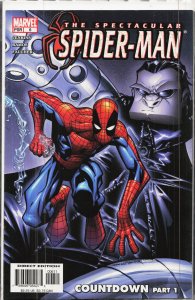 Spectacular Spider-Man #6 (2004) Spider-Man