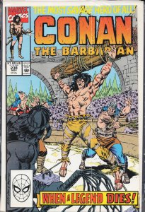 Conan the Barbarian #238 (1990) Conan